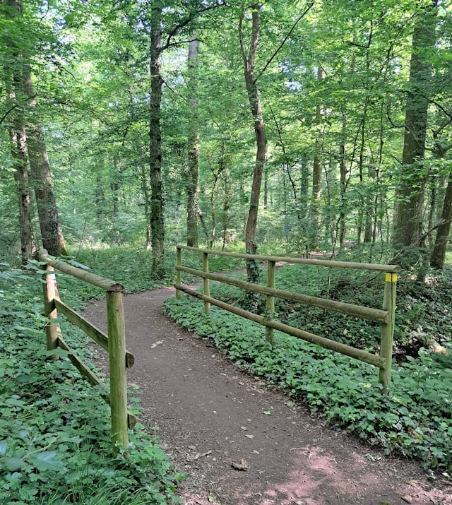 Езерен маршрут