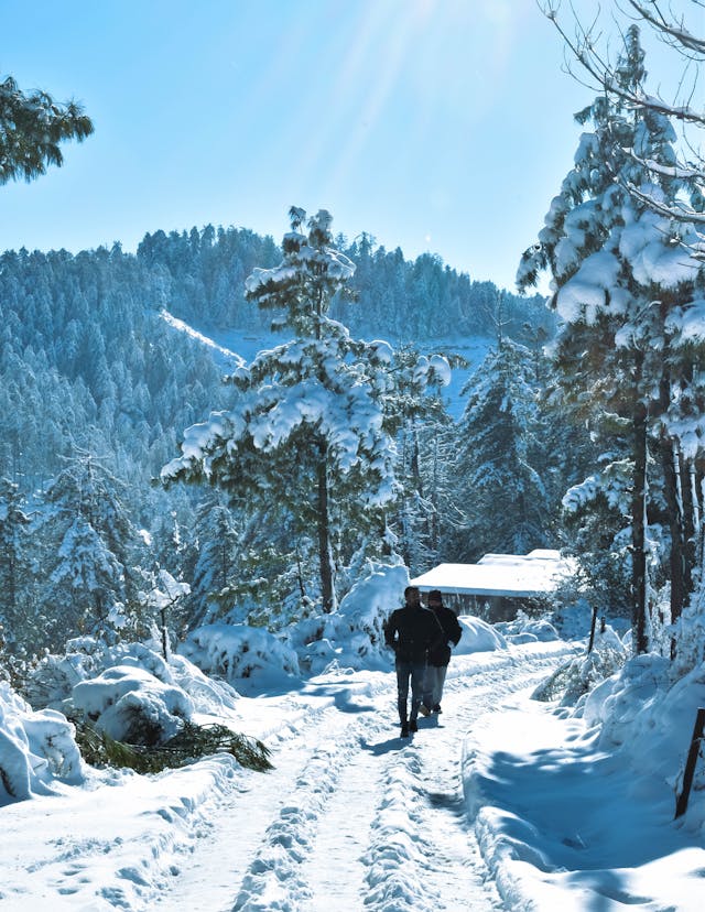 Selvarondria енергия